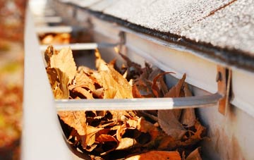Chollerton gutter cleaning companies